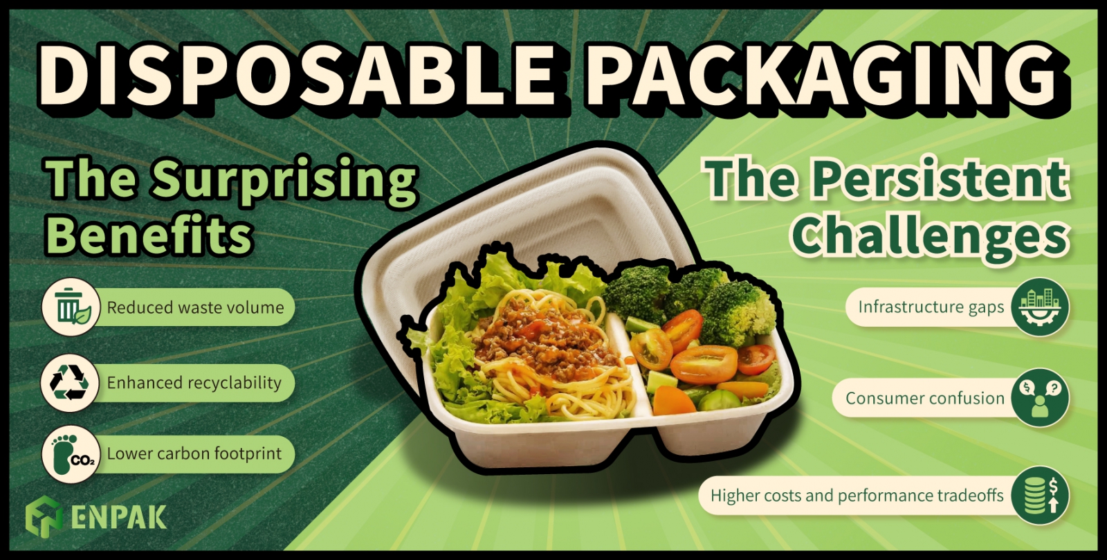 Disposable Packaging: Evolving Beyond the Stereotype