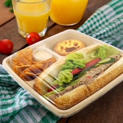 Compostable Fiber Containers/Cutlery