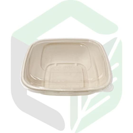 Enpak compostable take out containers 48 oz with clear lids CB-48