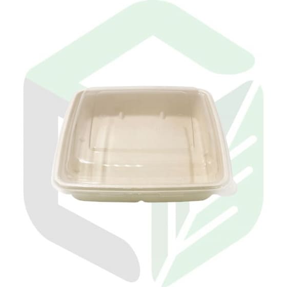 Enpak compostable food packaging square 1000ml 1 compartment CS-1000