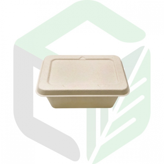 Compostable Rectangular Salad Boxes 1000mL