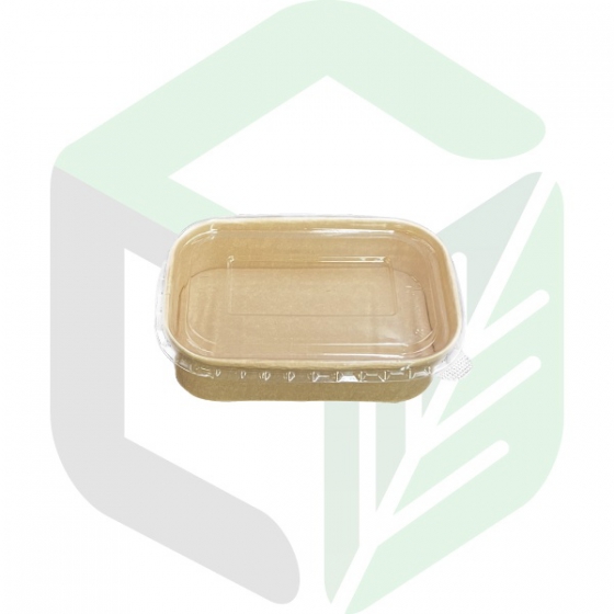 Kraft Paper Rectangular Boxes 500mL _ 16oz