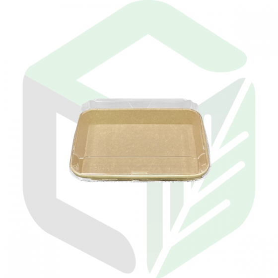 Kraft Paper Rectangular Tray 05