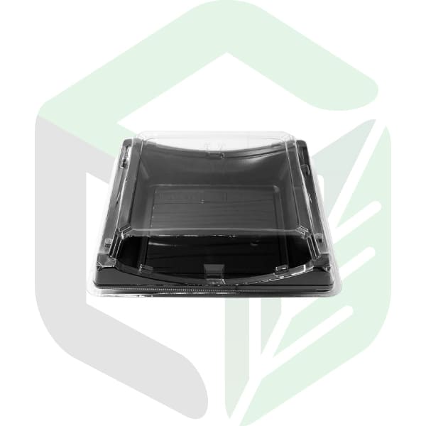 Non-Microwavable PS Square Sushi Boxes
