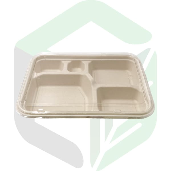Compostable Rectangular Bento Boxes _ 5 Compartments