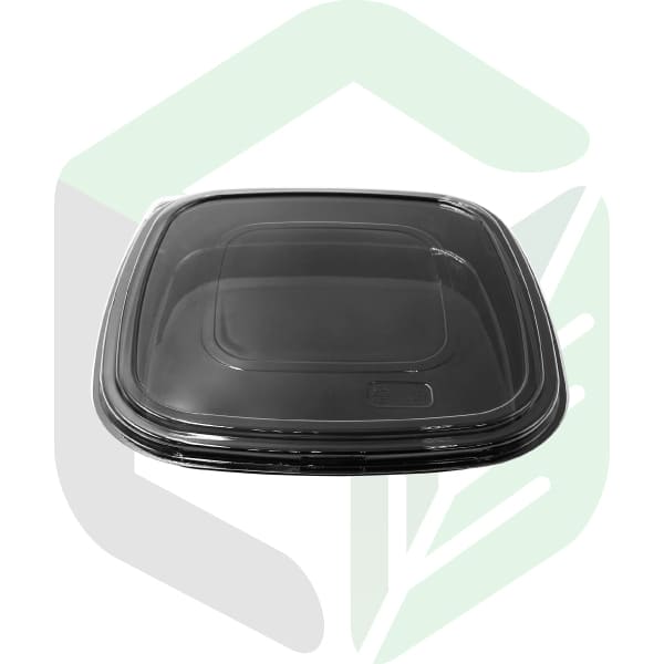 Non-Microwavable PET Square Party Trays