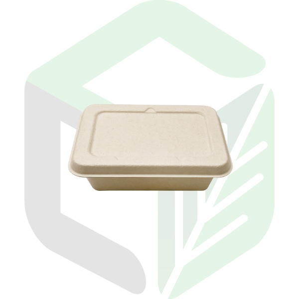 Compostable Rectangular Salad Boxes 800mL