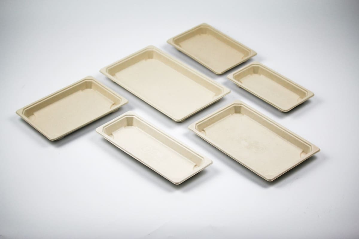 Enpak compostable trays Biocane Bagasse Large with Clear Lid BP-09