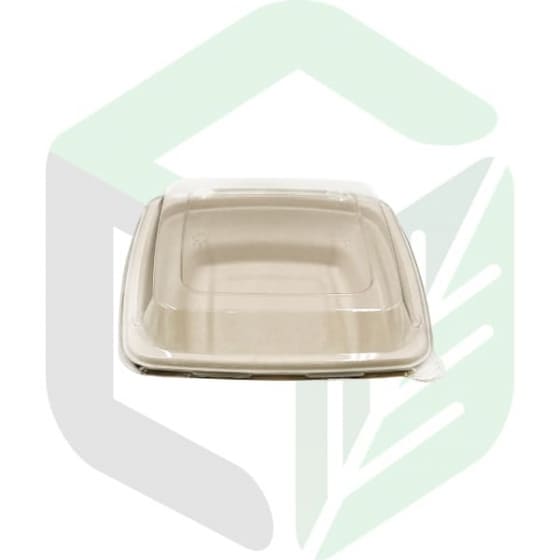 Enpak compostable food containers 16oz square salad bowls CP-16
